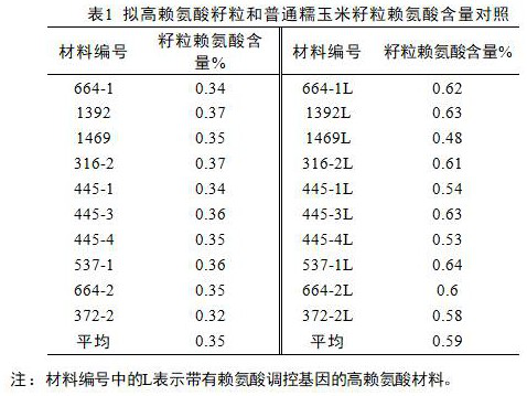 Method for rapidly, efficiently and nondestructively identifying high-lysine waxy corn kernels