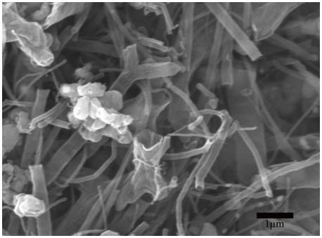 Preparation method and application of bamboo-like magnetic nitrogen/metal cobalt doped carbon nanotube material