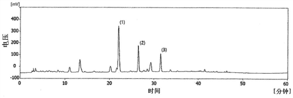 Pharmaceutical composition for alleviating eye fatigue, containing, as active ingredients, luteolin-7-o-diglucuronide and apigenin-7-o-diglucuronide isolated from perilla frutescens (l.) britton var. acuta (thunb.) kudo leaf extract