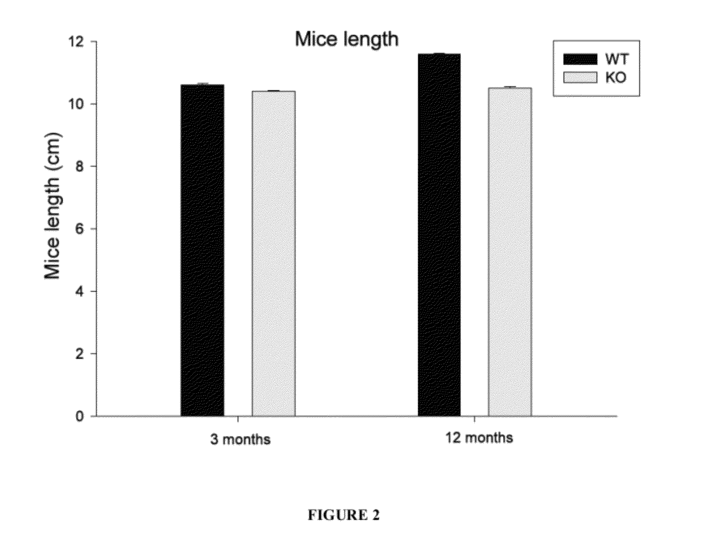 Methods for determining agents that treat or prevent obesity and/or obesity related diseases and methods for treatment therewith