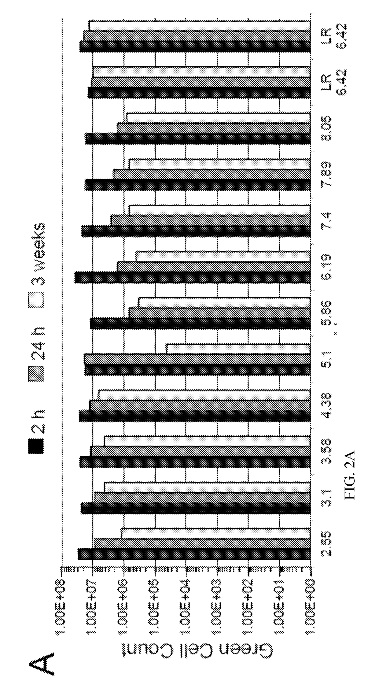 Compositions and methods for purifying recombinant adeno-associated virus