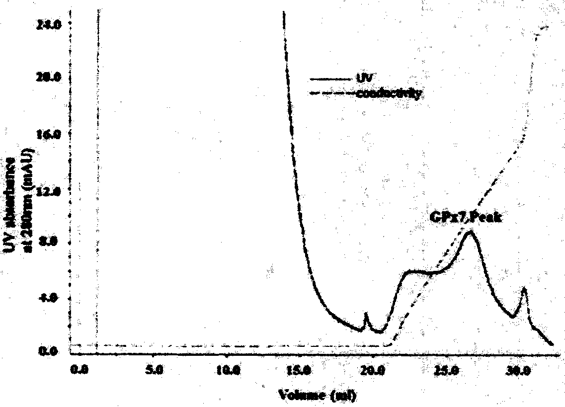 A kind of preparation method of gpx7 recombinant protein