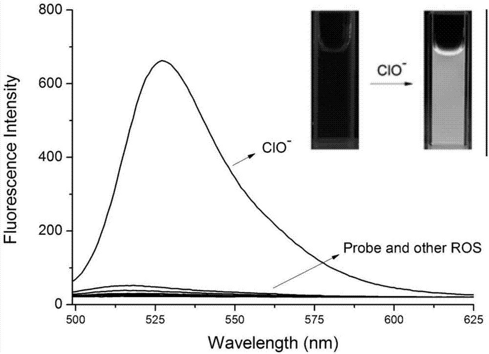 Hypochlorite ion fluorescence probe, preparation method and application thereof