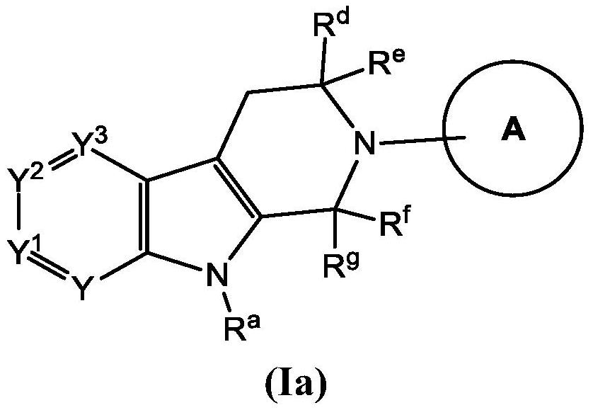 Tetrahydrobenzofuro[2,3-c]pyridine and beta-carboline compounds for the treatment, alleviation or prevention of disorders associated with tau aggregates