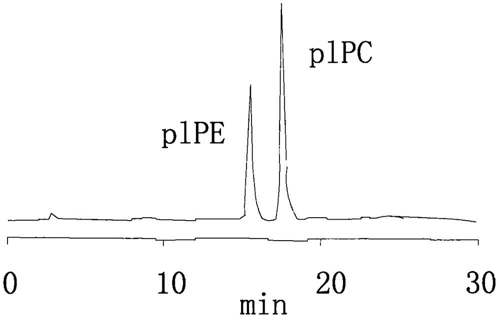 Production method for preparing substance taking plasmalogen as effective ingredient and being used for treating cranial nerve diseases from biological materials