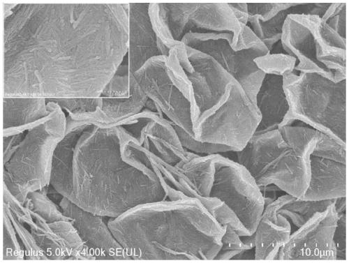 Preparation and application of magnetic conductive polymer/sepiolite/humic acid composite microsphere