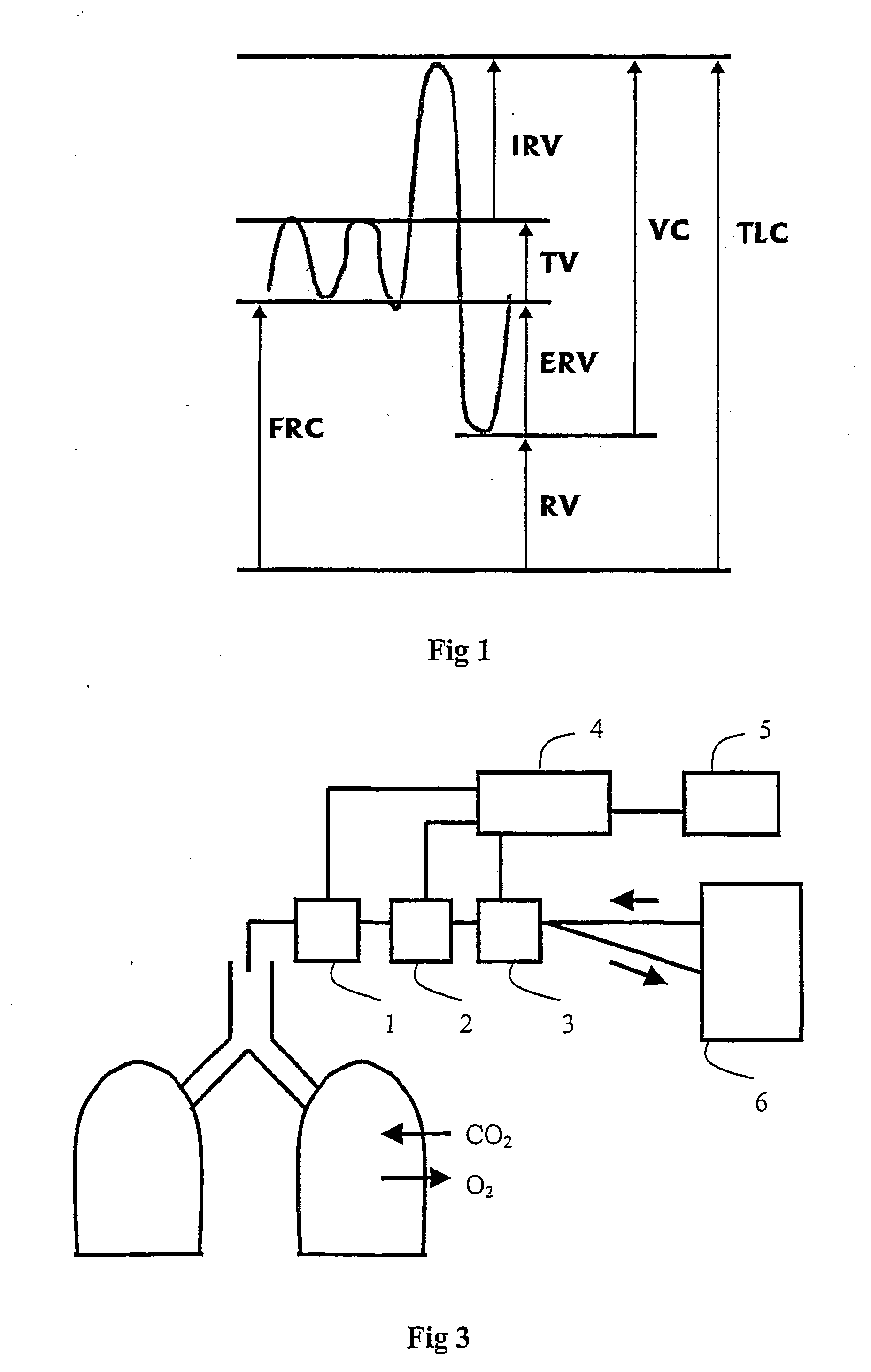 Method and apparatus for measuring functional residual capacity (frc) and cardiac output (co)