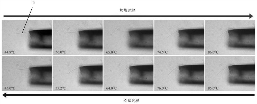 nanomanipulator