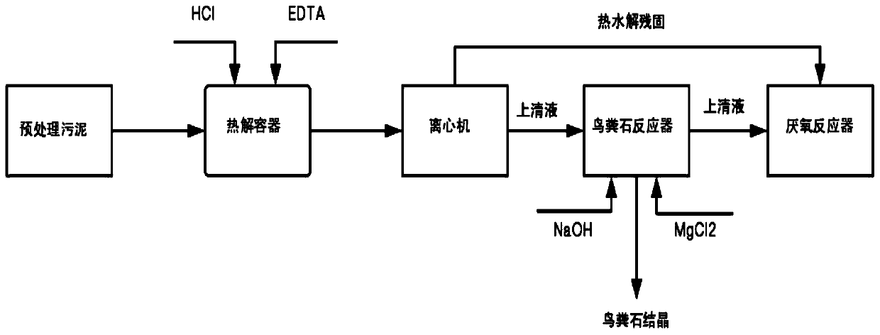 Method for improving recovery efficiency of phosphorus in sludge and promoting anaerobic digestion