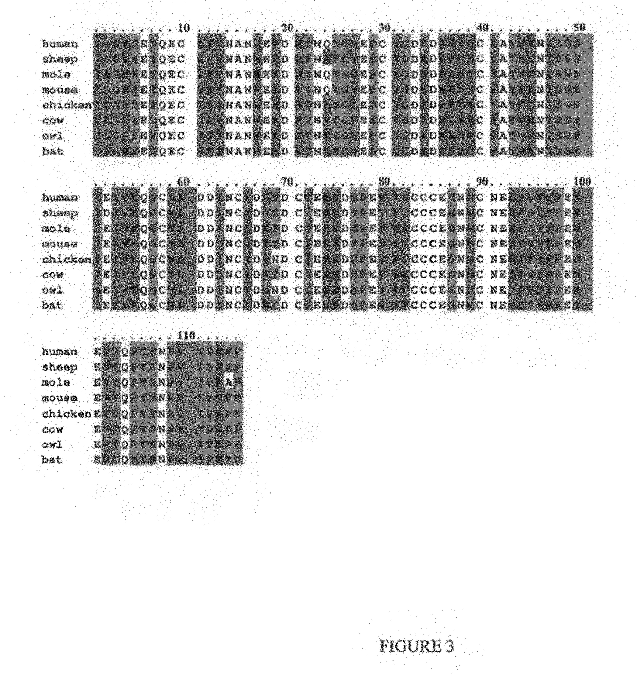 Compositions and methods for treating pulmonary hypertension