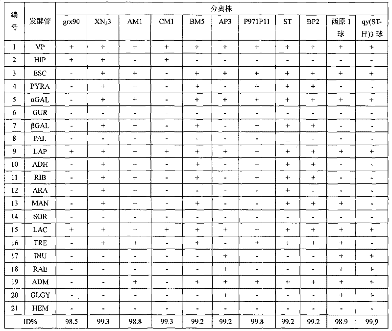 Method for preparing novel fermented soybean milk products