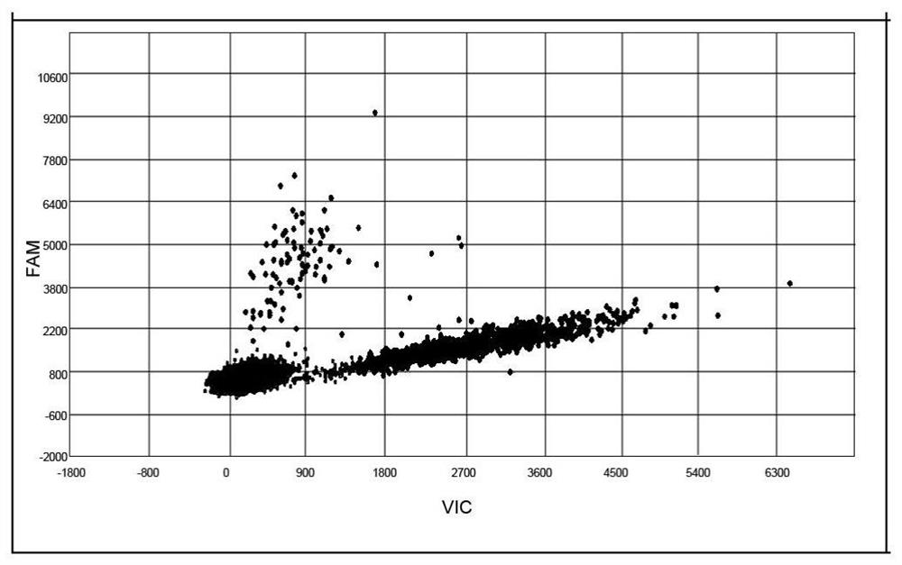 Primer probe composition, kit and method for detecting EGFR specific gene mutation by 3D digital PCR