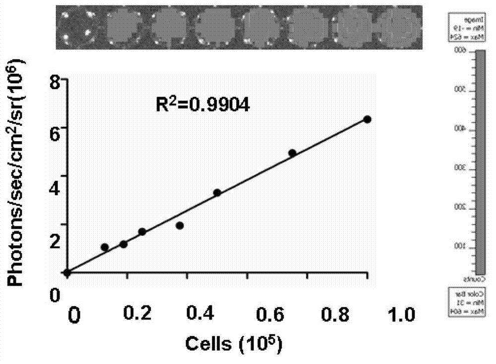 Novel method for inhibiting primary liver cancer growth and metastasis