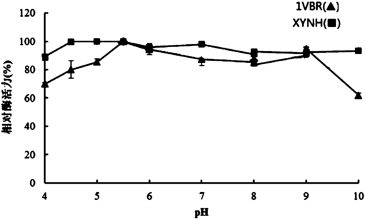 Mutant XYNH of extreme heat-resistant xylanase 1VBR and use thereof