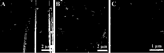 Sandwich type hybrid porphyrin phthalocyanine double layer metal complex nanotube and its preparation method and application