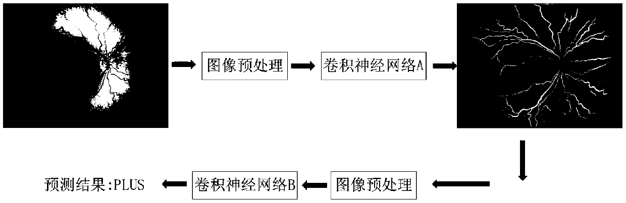 Premature infant retinopathy plus lesion classification method