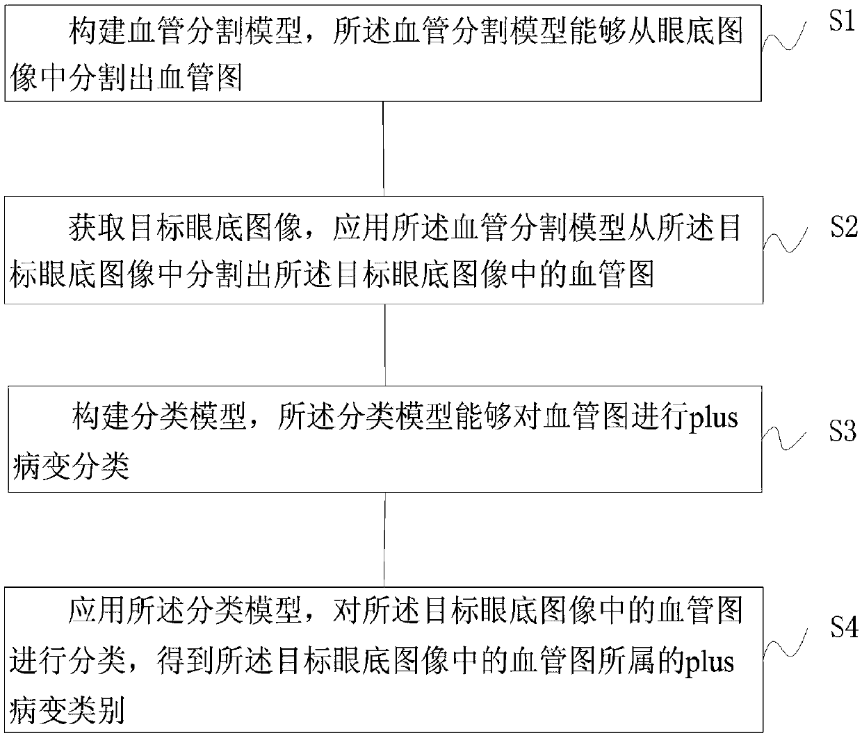 Premature infant retinopathy plus lesion classification method