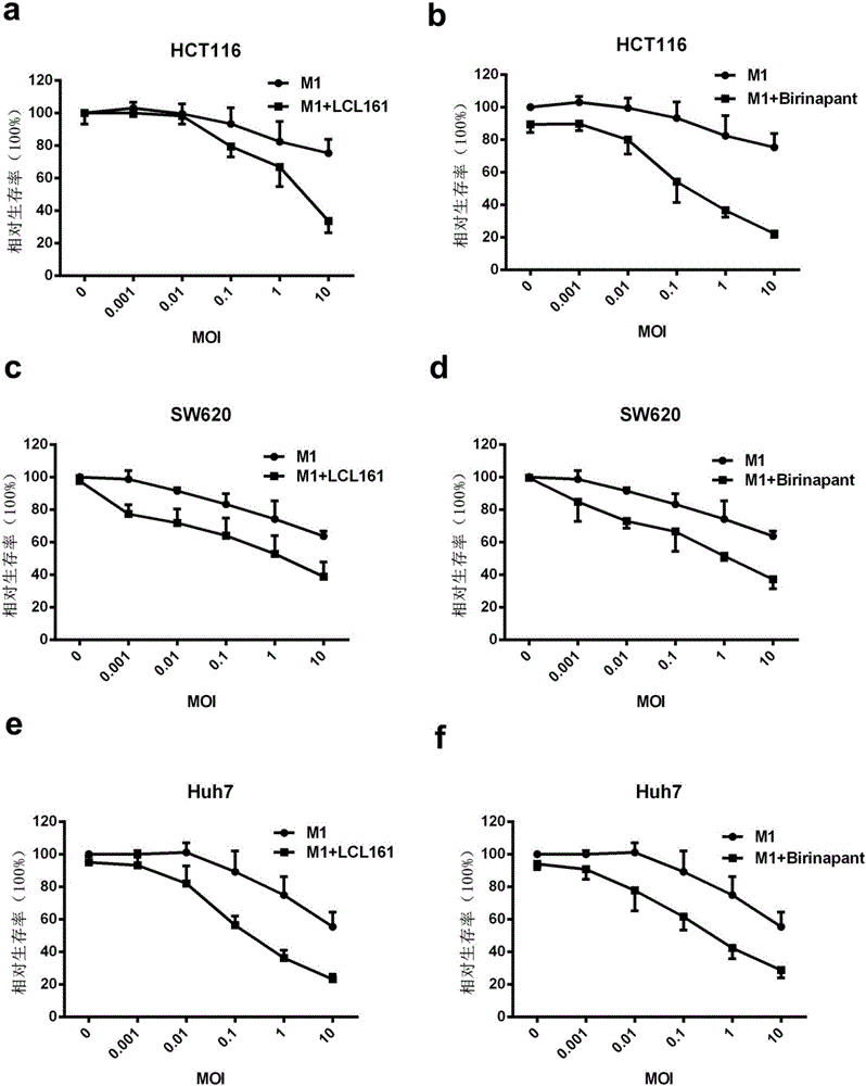 Application of IAP inhibitor and oncolytic virus in preparation of antitumor drug