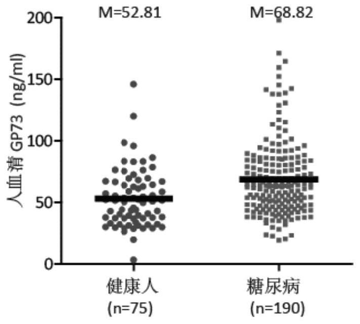 Application of a kind of gp73 inhibitor in preparing medicine for treating diabetes