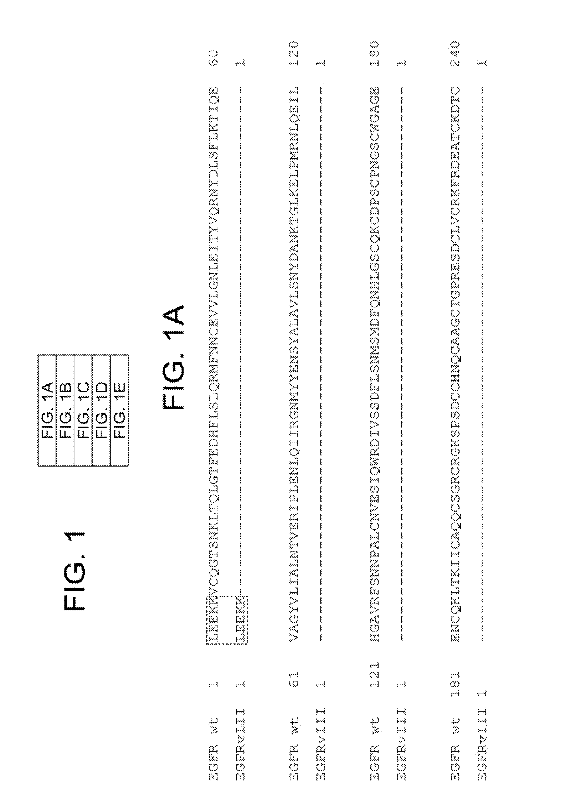Methods of treating epidermal growth factor deletion mutant viii related disorders