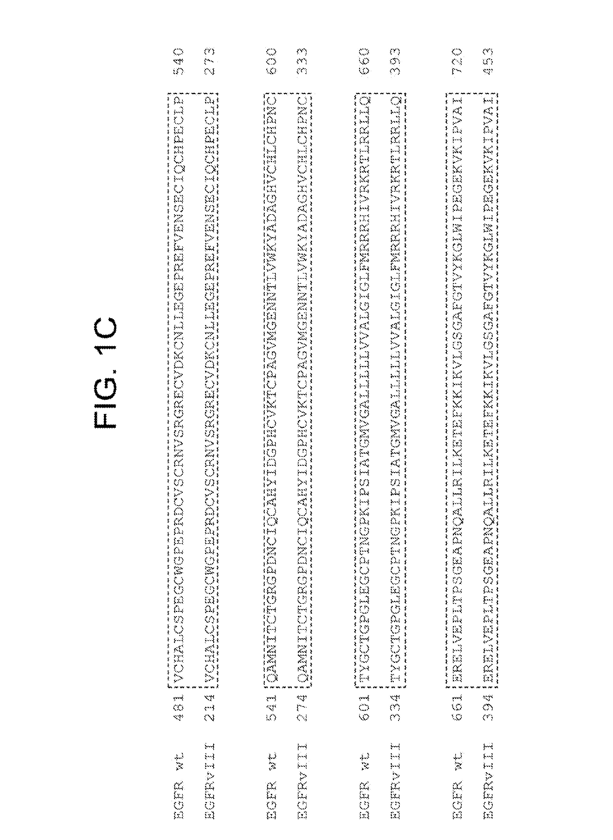 Methods of treating epidermal growth factor deletion mutant viii related disorders