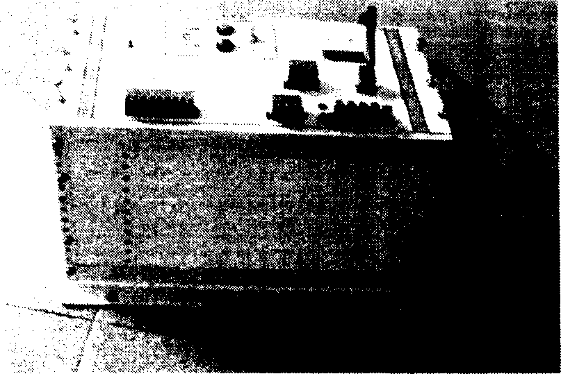 Single-phase gruonded fault protecting method for distributing net