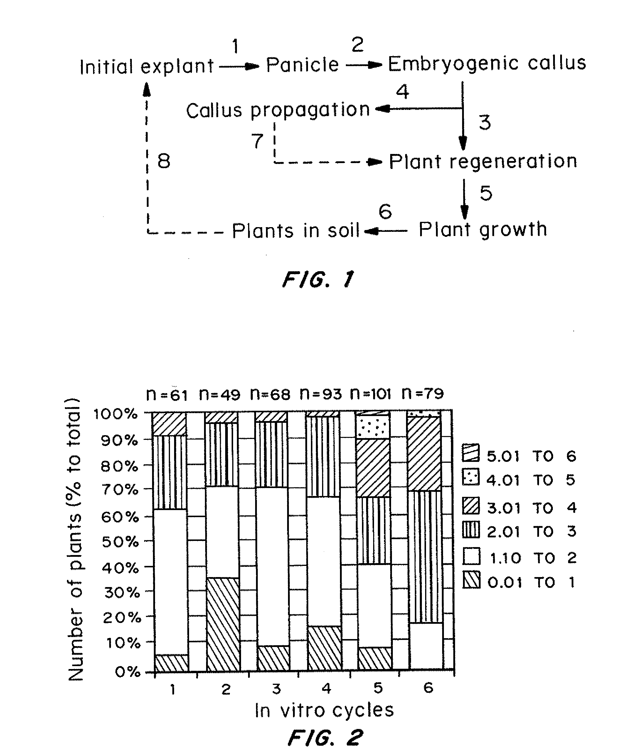 Propagation of transgenic plants