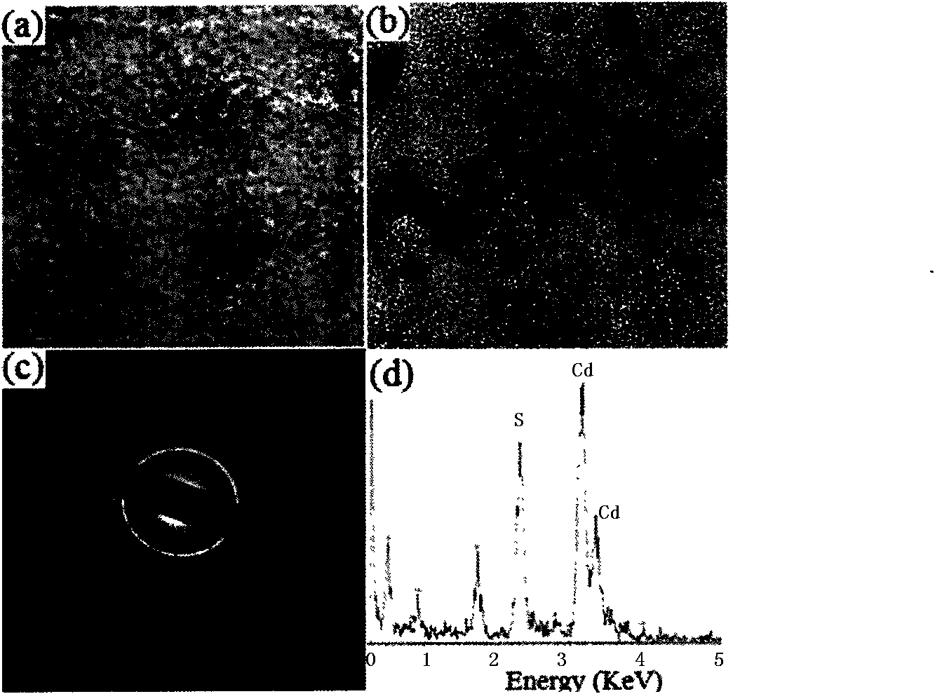 Method for using amphipathy hyperbranched polymer to prepare quantum dots