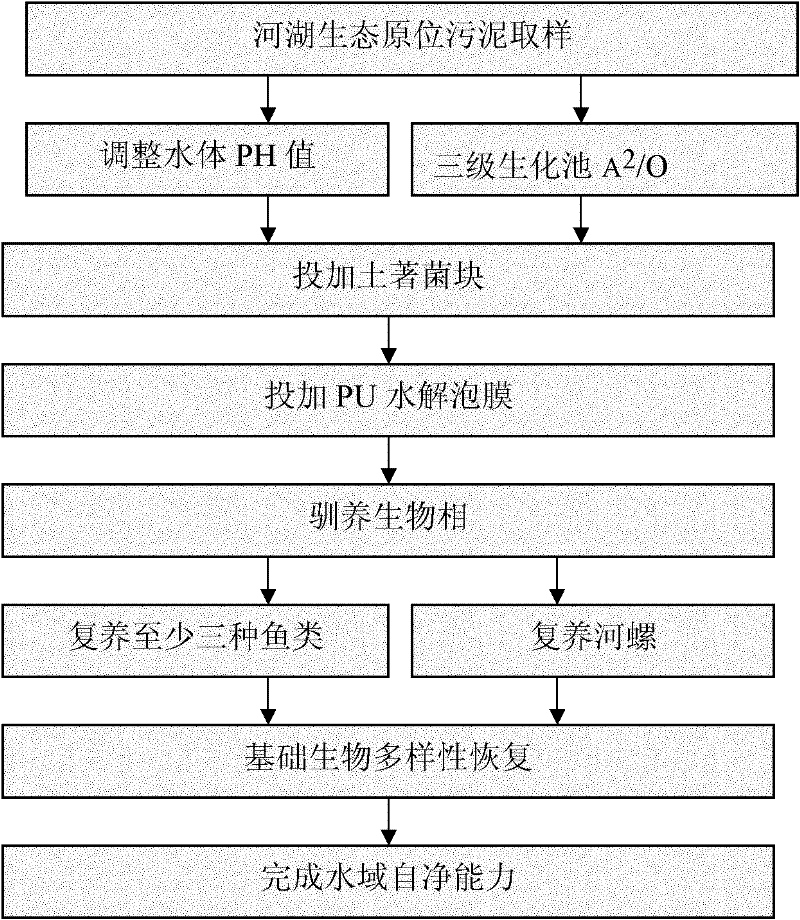 Preparation method of indigenous bacterium blocks for treating dystrophication