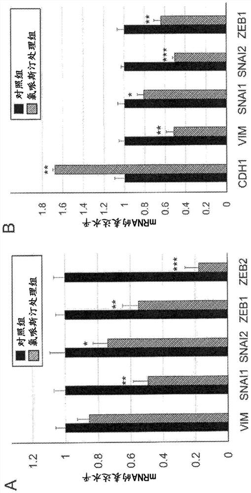 Prophylactic or therapeutic agent for prostate cancer