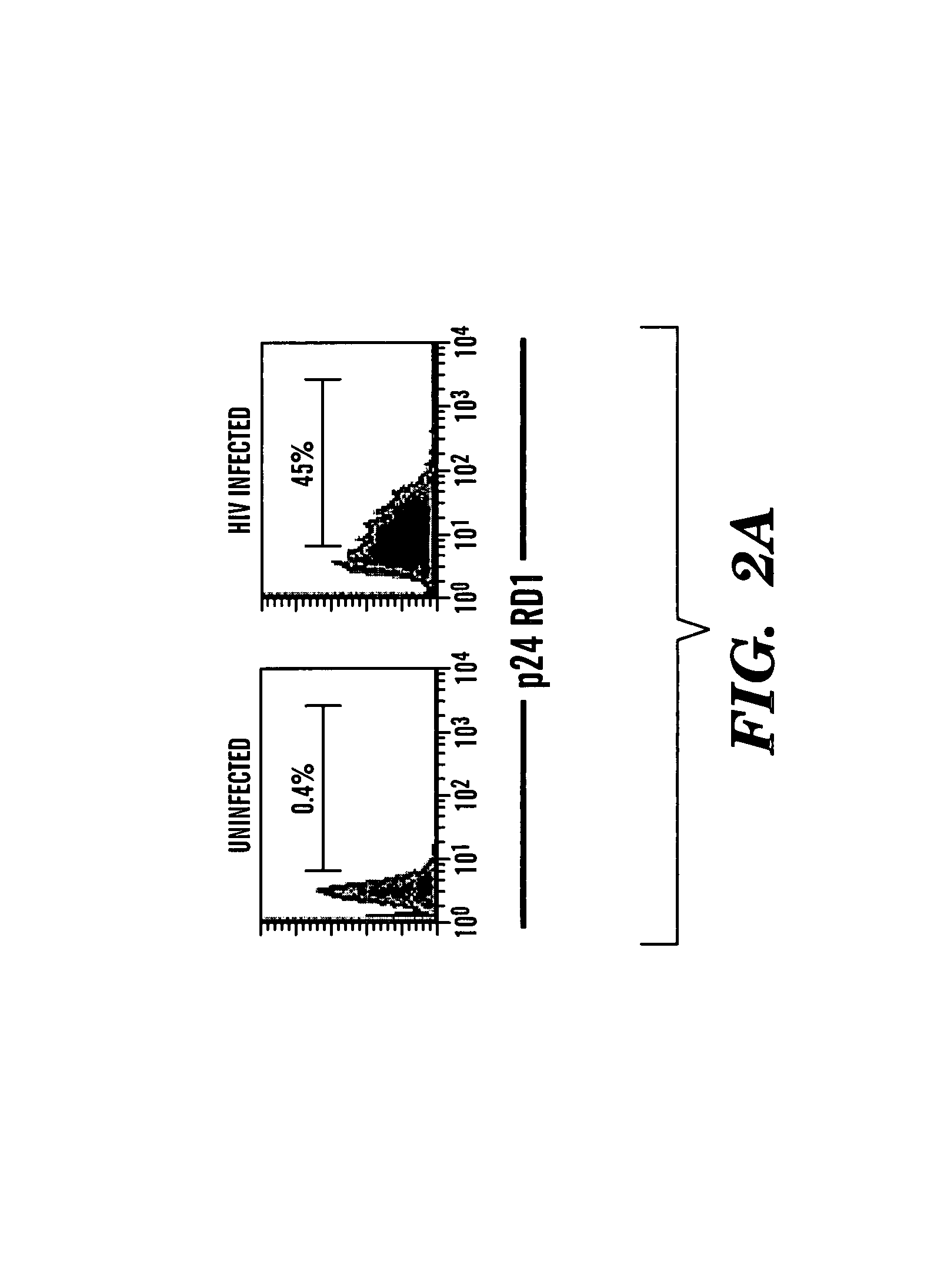 Method of delivering RNA interference and uses thereof