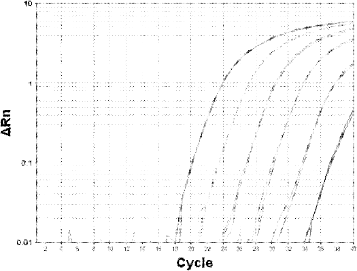 Method for detecting DNA (deoxyribonucleic acid) content of CHO (cholesterol) cells by probe