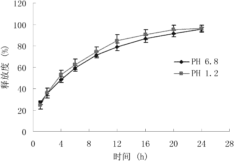 Pramipexole hydrochloride slow release tablet and preparation method thereof