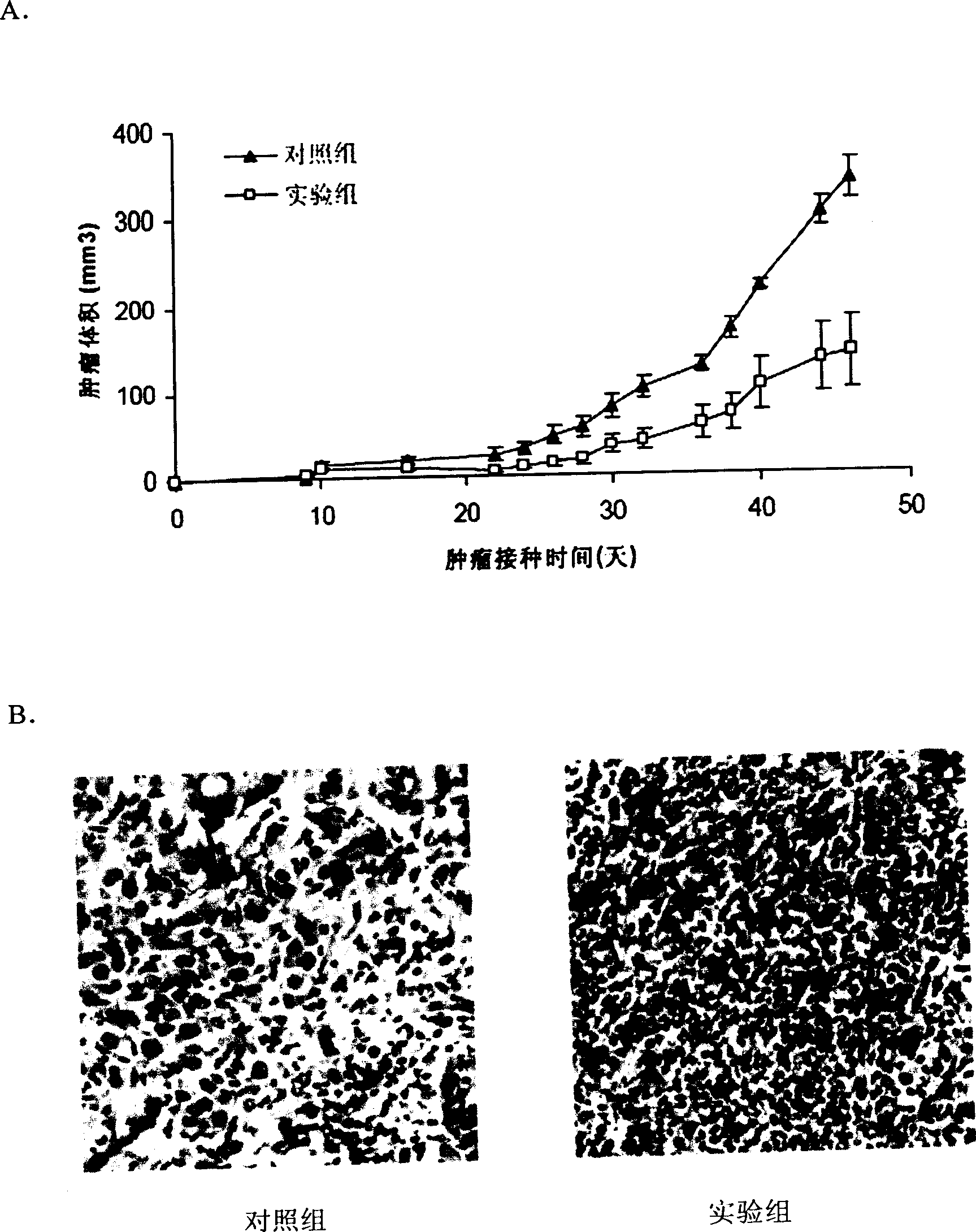 Expression method of glucosal related protein and application thereof
