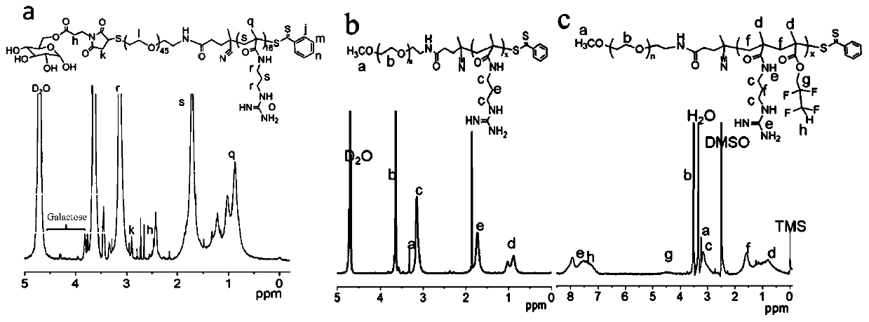 Preparation and application of sugar-targeted modified siRNA nanoparticle