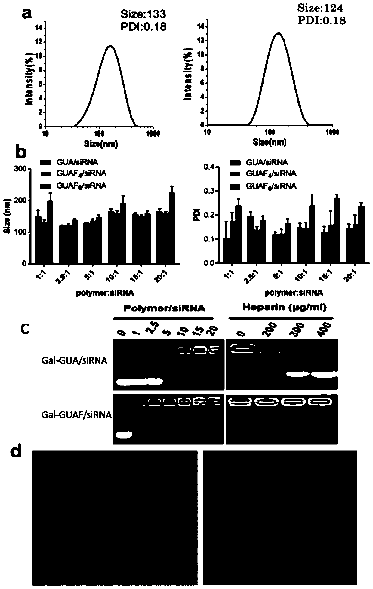 Preparation and application of sugar-targeted modified siRNA nanoparticle