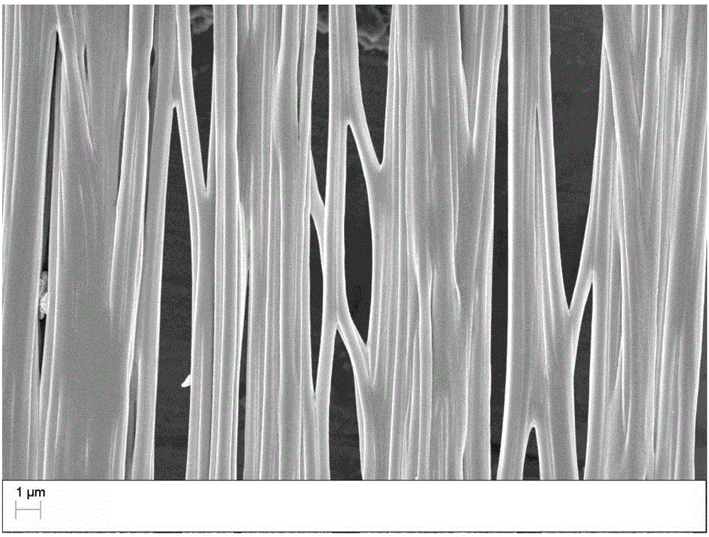 Composite nanofiber film of structure bionic skin extracellular matrix and producing method and application thereof
