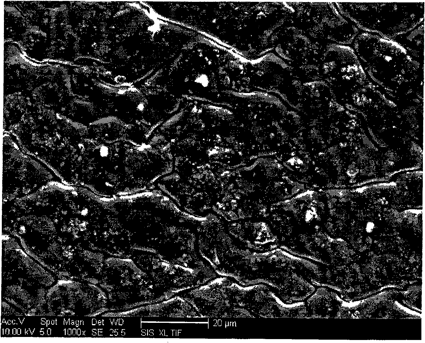 Starch graft acrylic acid/modified verdelite high-water-absorption resin and preparing method thereof