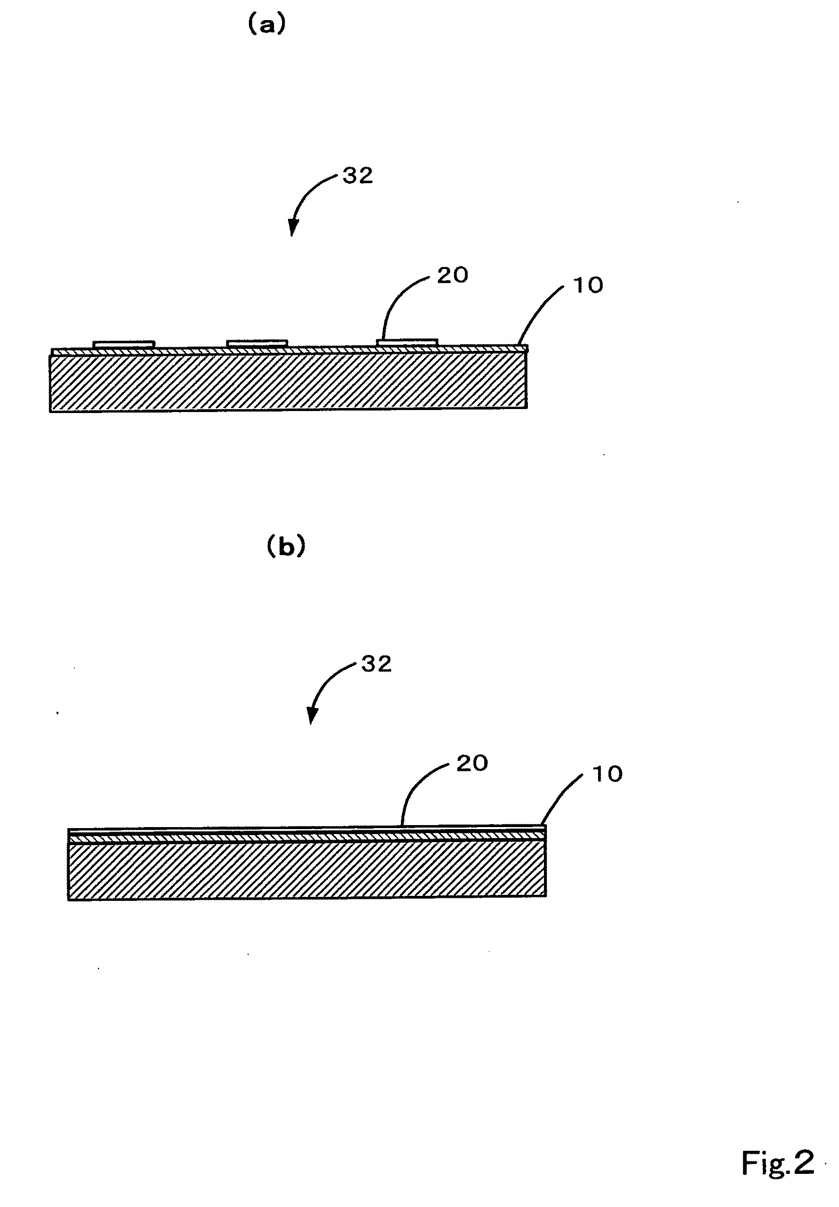 Method of producing solid-phase body having immobilized microobject and the use thereof