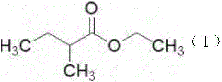 Application of 2-ethyl methylbutyrate in preparing drug for resisting cryptosporidium parvum