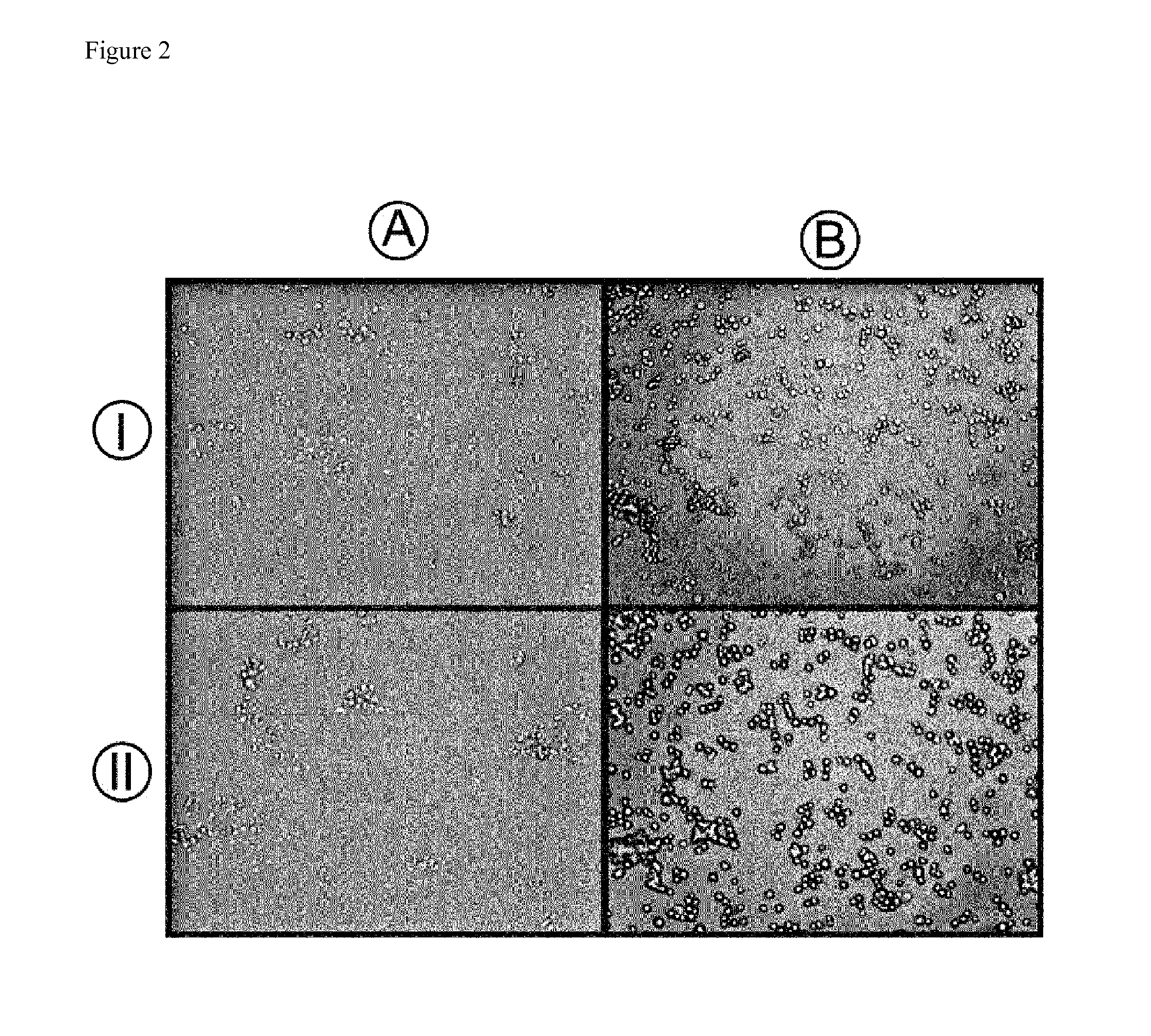 Device for the identification, separation and / or cell type-specific manipulation of at least one cell of a cellular system
