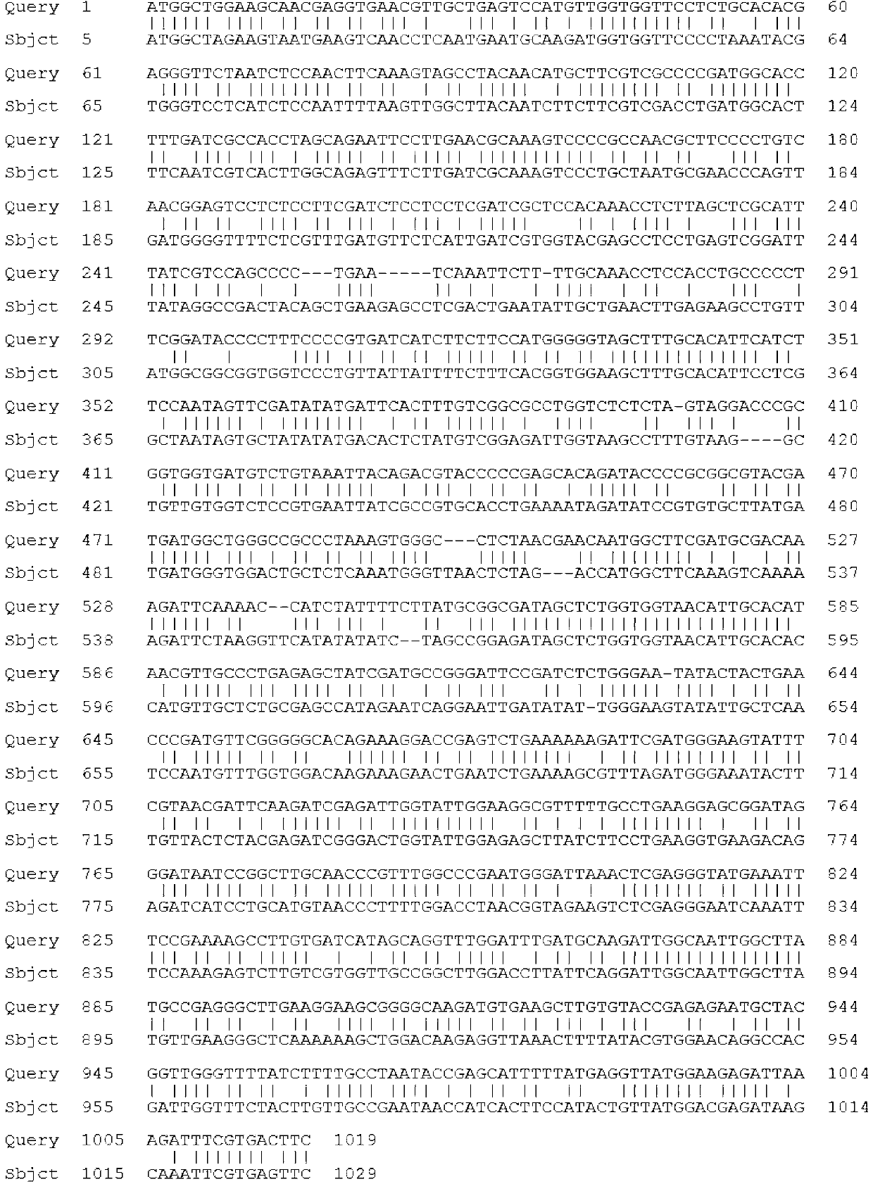 Agapanthus praecox gibberellin receptor APGID1b protein, and encoding gene and probe thereof