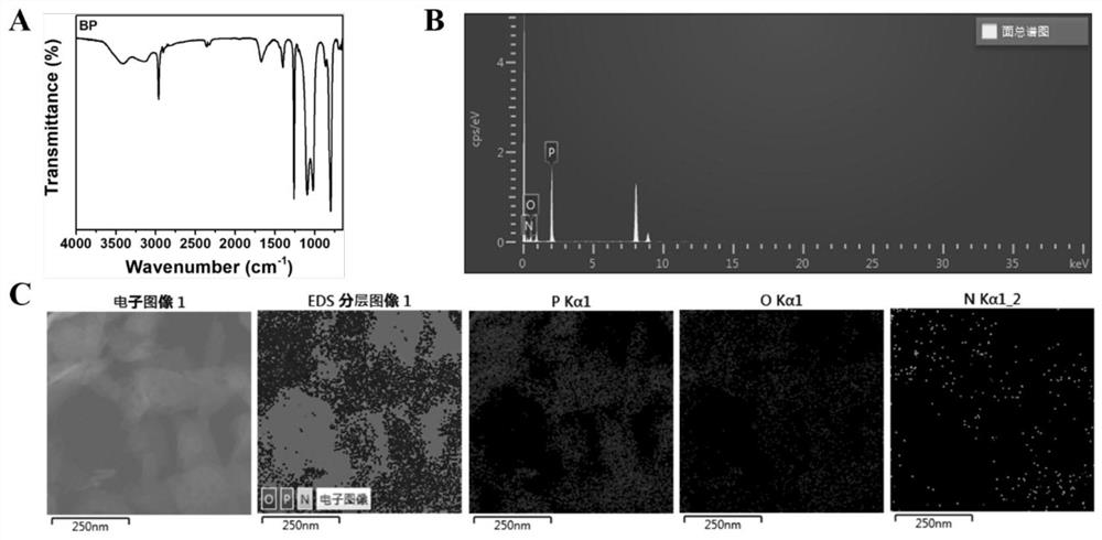 Application of black phosphorus nanosheet in preparation of medicine for treating Parkinson's disease