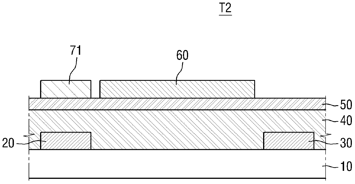 Organic light emitting transistor and display device including the same