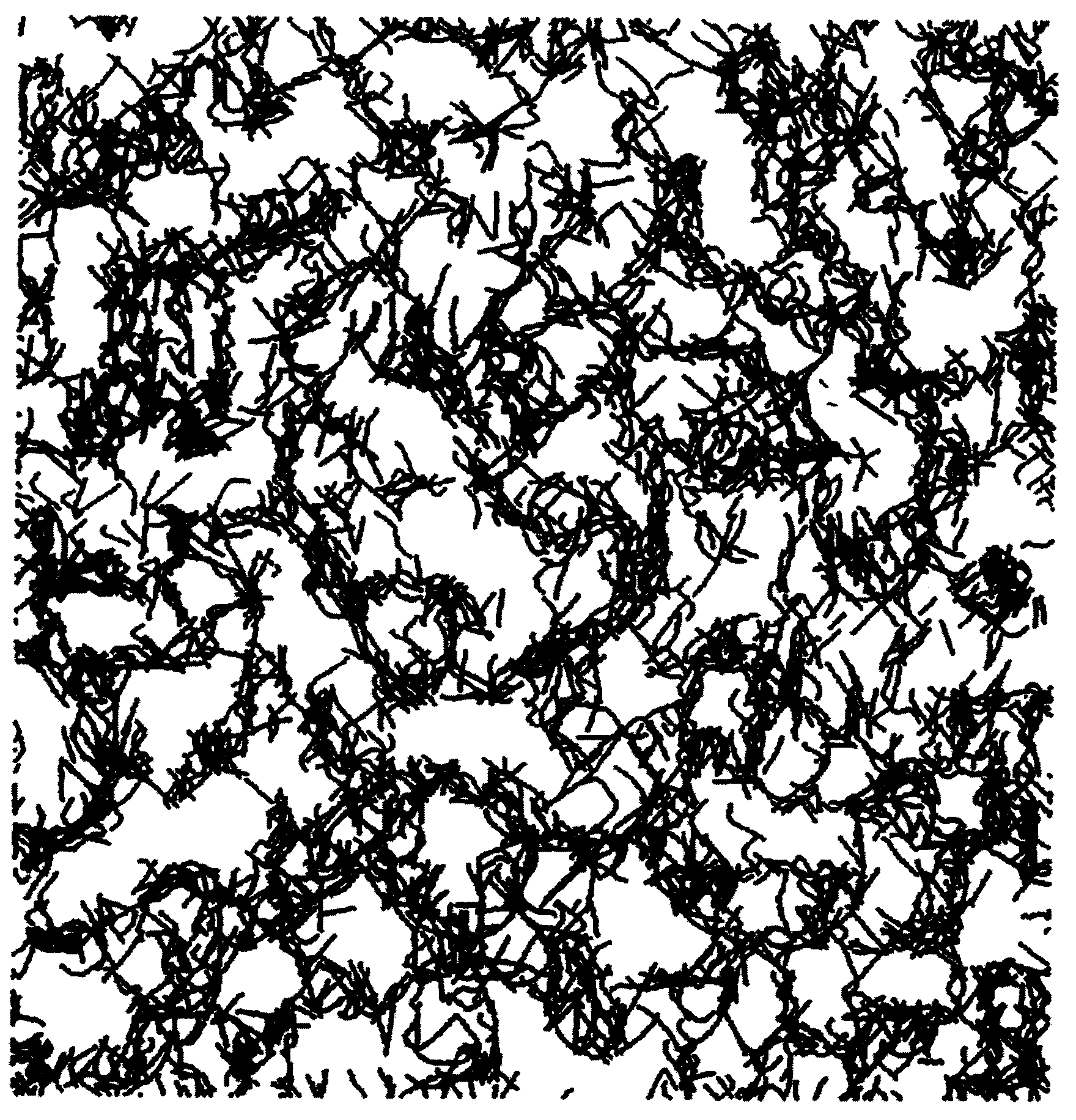 Security Document Carrying Machine Readable Pattern