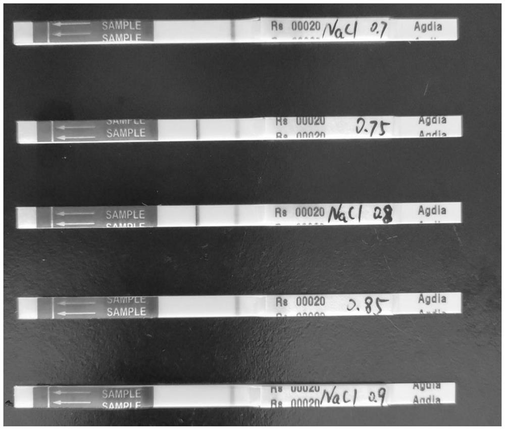 Ralstonia solanacearum extraction composition, extract and method for identifying ralstonia solanacearum in casuarina equisetifolia