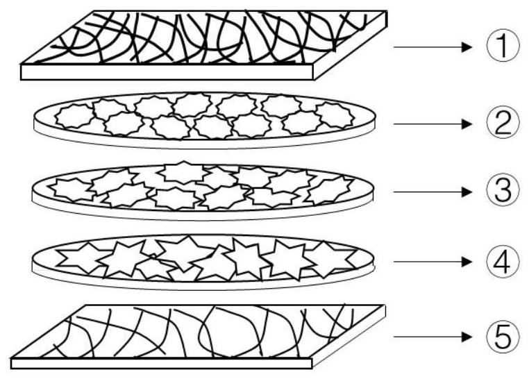 A bionic "sandwich" structure artificial periosteum and preparation method thereof