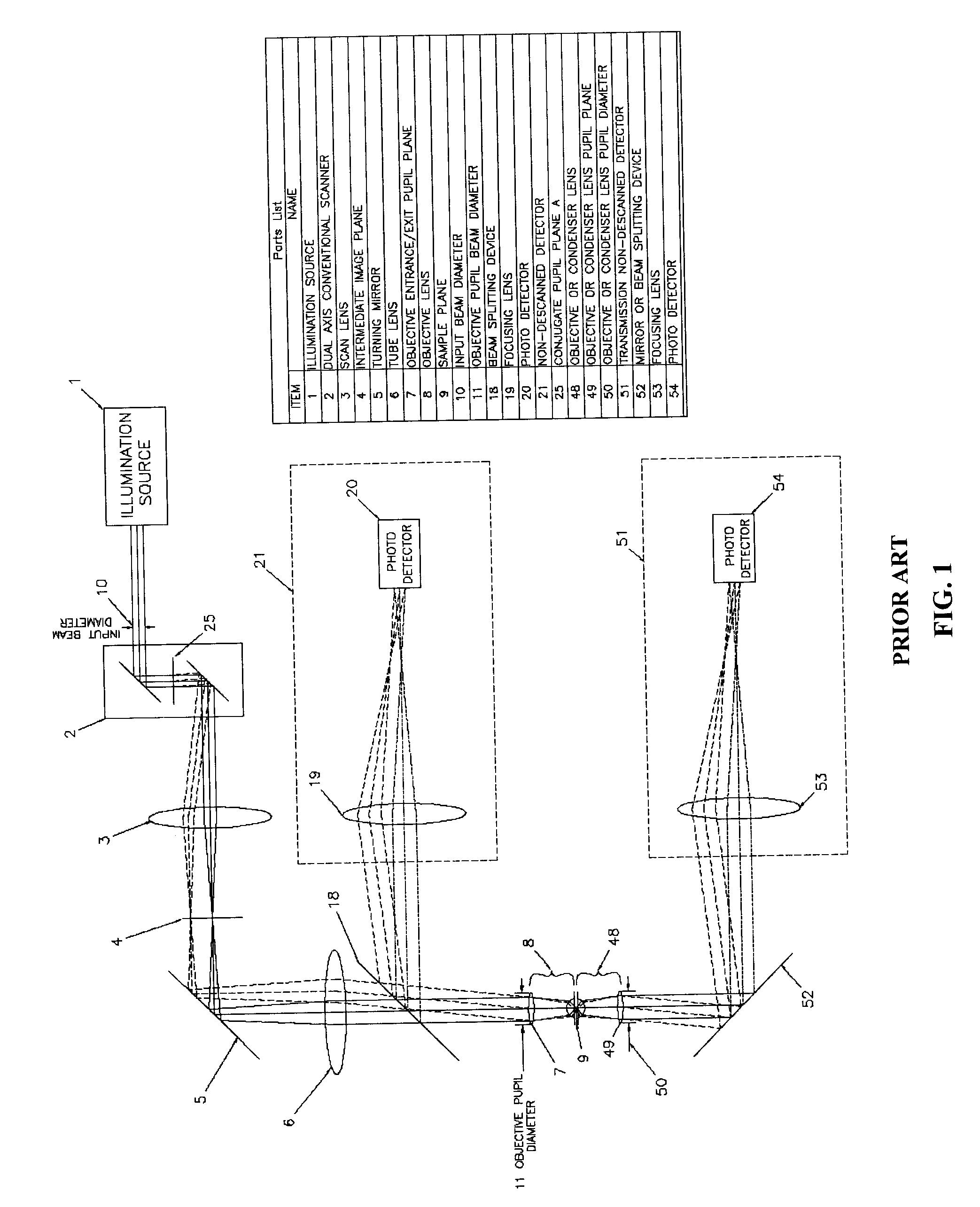 Apparatus for improving detection efficiency of multiphoton microscopy systems by focus compensation, pupil image division, and parallel pupil rearrangement