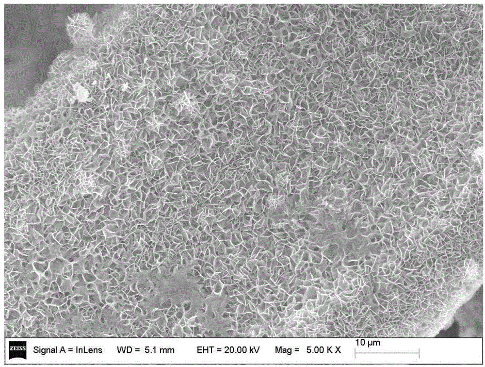 A kind of nickel-based basic nickel carbonate thin film material and preparation method and application thereof