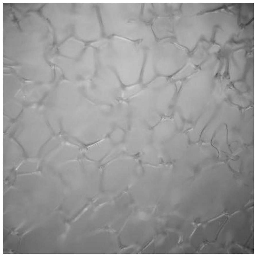 One-step preparation method and product of polyimide open-cell foam